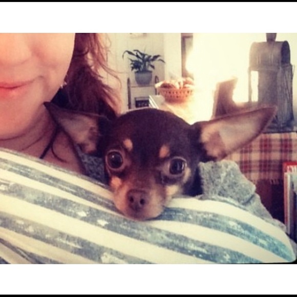 Offers? I’m all ears!! 🐶❤️☀️ - Picture 3 of 4